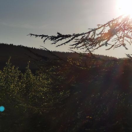 Gite La Bancale Lormes Esterno foto