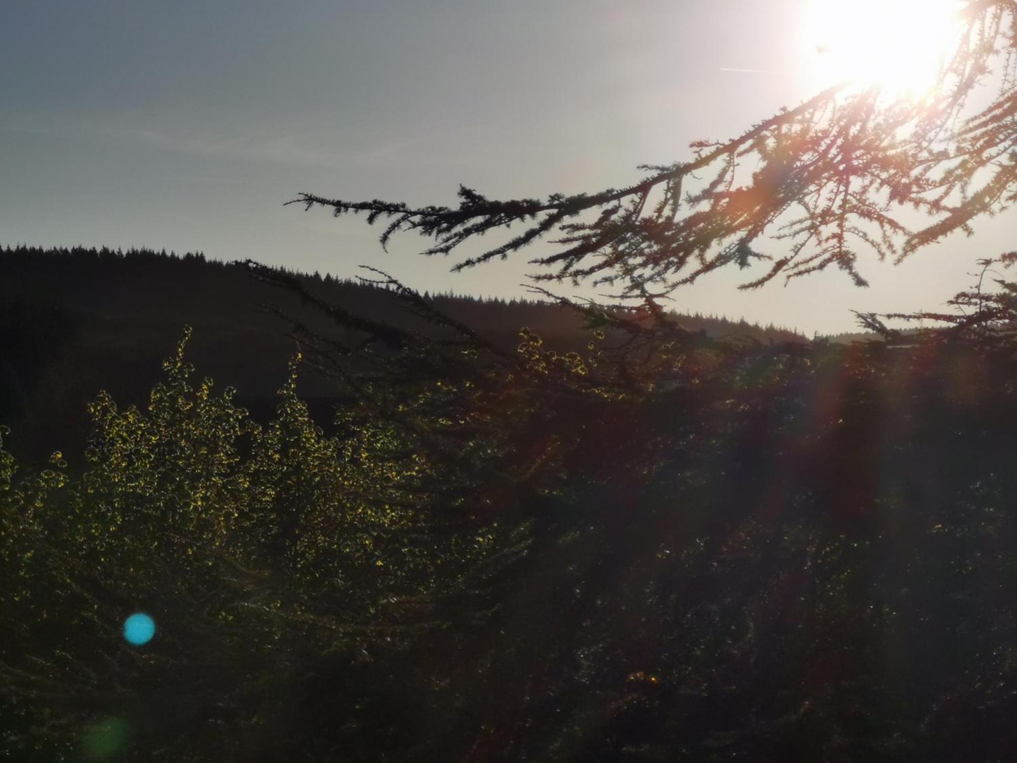Gite La Bancale Lormes Esterno foto