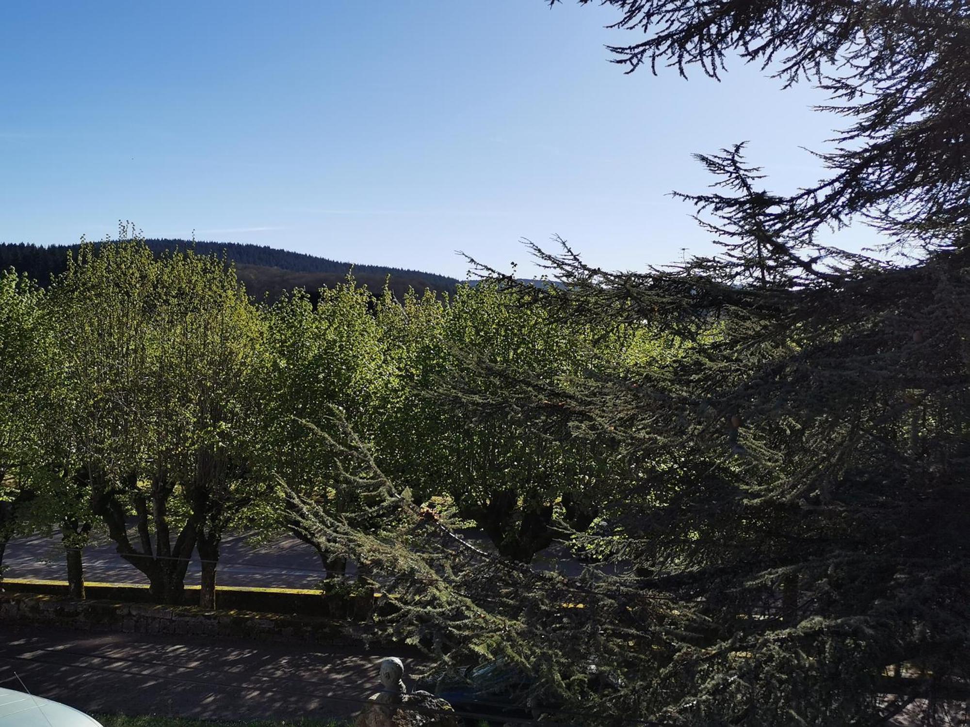 Gite La Bancale Lormes Esterno foto